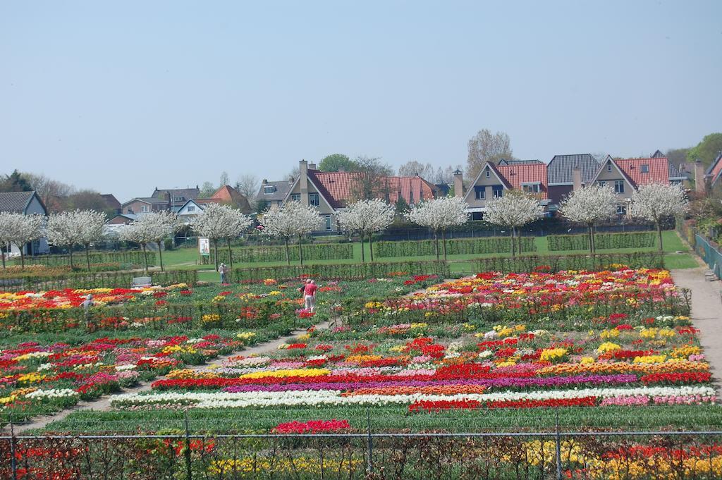 B&B Limmerzand Limmen Luaran gambar